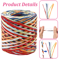 Segment Dyed Raffia Paper Cords for DIY Craft&nbsp;OCOR-WH20020-27H