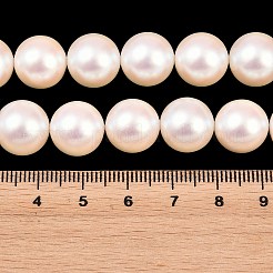 Electroplated Shell Pearl Beads Strands&nbsp;BSHE-C011-01D