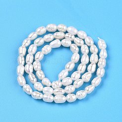 天然養殖淡水パールビーズ連売り  ライス  乳白色  3.5~6x4~4.5mm  穴：0.7~0.8mm  約59~60個/連  13.58''（34.5センチメートル）&nbsp;LS-PEAR-N012-04S