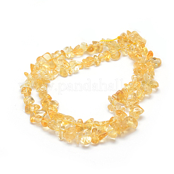Natural Citrine Beads Strands&nbsp;X-G-P332-51