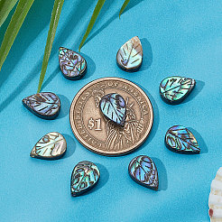 Natural Abalone Shell/Paua Shell Beads&nbsp;SHEL-BBC0001-01