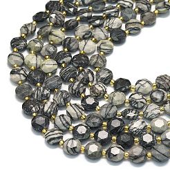 Natural Black Netstone Beads Strands&nbsp;G-C116-A147-01