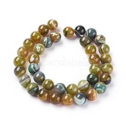 Natural Striped Agate/Banded Agate Beads Strands&nbsp;G-G582-8mm-44