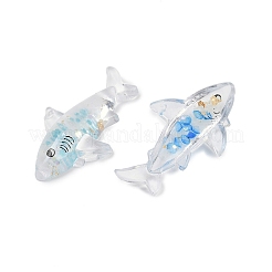 Transparent Luminous Acrylic Pendants&nbsp;TACR-Z002-04
