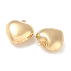 Brass Pendants&nbsp;KK-CBAD851-03G-06