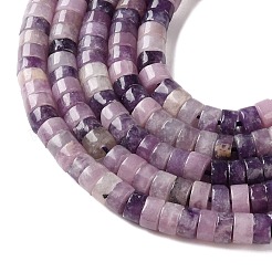 Natural Lepidolite/Purple Mica Stone Beads Strands&nbsp;G-M420-A19-01