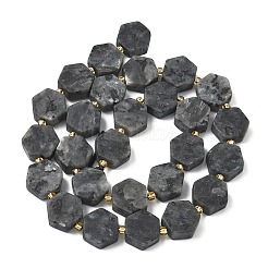 天然ラルビカイトビーズ連売り  六角形  シードビーズで  12~12.5x13.5~14.5x6~6.5mm  穴：0.8~1mm  約27~29個/連  15.71''（39.9センチメートル）&nbsp;G-A291-A02-01