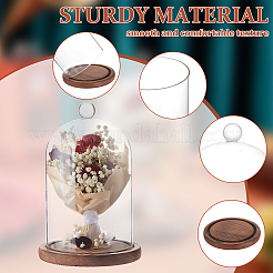 Glass Dome Cover&nbsp;AJEW-WH0270-199