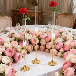 8Pcs Glass Test Tube&nbsp;AJEW-UN0005-47