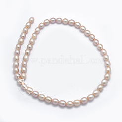Natural Cultured Freshwater Pearl Beads Strands&nbsp;PEAR-K003-23A-01