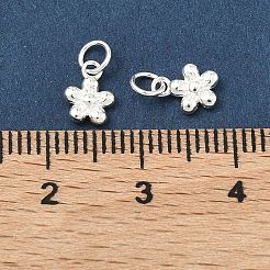925 Sterling Silver Charms&nbsp;STER-A050-03A-S