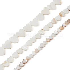 3連売り3スタイルの天然淡水シェルビーズ連売り  ハート  ホワイト  6~13x6~14x1~3mm  穴：0.8mm  1連/スタイル&nbsp;SHEL-FW0001-01
