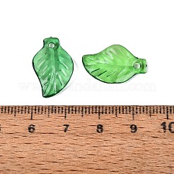 Transparent Acrylic Pendants&nbsp;TACR-436-17
