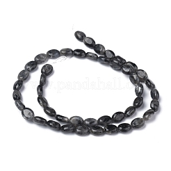 Natural Black Larvikite Beads Strands&nbsp;G-Z006-A03