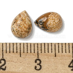 天然石ピクチャージャスパーカボション  ティアドロップ  8x6x3mm&nbsp;G-Q173-02B-13