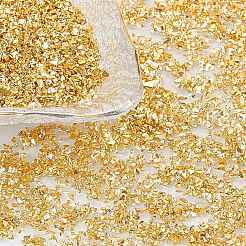 Glass Chip Beads&nbsp;MRMJ-OC0001-39G