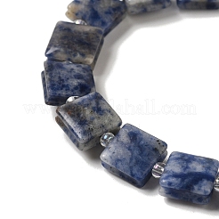 Natural Blue Spot Jasper Beads Strands&nbsp;G-L596-A07-01