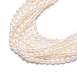 Natural Cultured Freshwater Pearl Beads Strands&nbsp;PEAR-N024-02-4AB