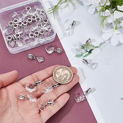 30Pcs 10 Styles Glass European Dangle Charms&nbsp;PALLOY-GA00046