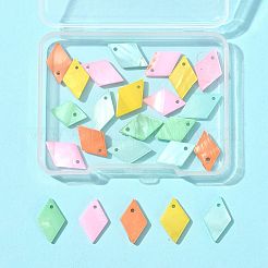 24Pcs 5 Styles Spray Painted Natural Freshwater Shell Pendants&nbsp;BSHE-FS0001-14