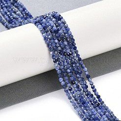 Natural Sodalite Beads Strands&nbsp;G-G139-A07-02