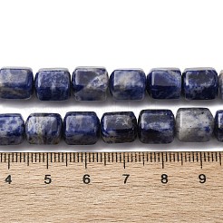 Natural Sodalite Beads Strands&nbsp;G-R015-A03