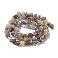 Natural Botswana Agate Beads Strands&nbsp;G-NH0002-C01-01