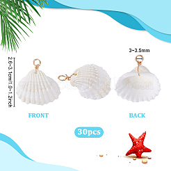 30Pcs Natural Shell Pendants&nbsp;PALLOY-PH01844