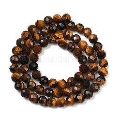 Natural Tiger Eye Beads Strands&nbsp;G-G281-B05-6mm