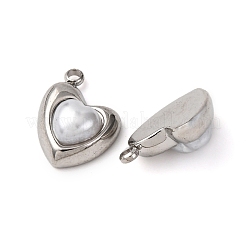 304 Stainless Steel Charms&nbsp;STAS-P406-11P