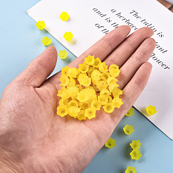 Transparent Acrylic Beads Caps&nbsp;PL543-2