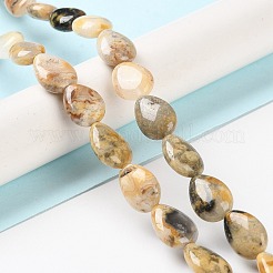Natural Crazy Lace Agate Beads Strands&nbsp;G-K357-A03-01