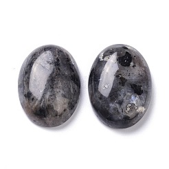 Natural Black Larvikite Cabochons&nbsp;G-Z020-10