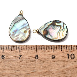 天然アワビ貝ペンダント  真鍮パーツ  ティアドロップチャーム  21x13x3.5mm  穴：1.2mm&nbsp;SH-CJC0AC7-01C-G
