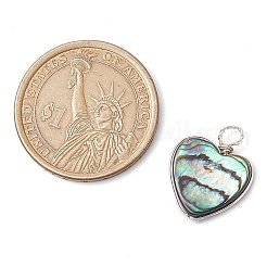 Natural Abalone Shell/Paua Shell Copper Wire Wrapped Pendants&nbsp;PALLOY-JF03007