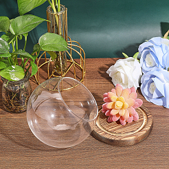 Glass Dome Cover&nbsp;DJEW-WH0039-70