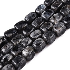 Natural Larvikite Beads Strands&nbsp;G-T138-106