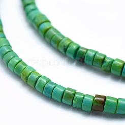 Natural Magnesite Beads Strands&nbsp;TURQ-G148-20-3mm