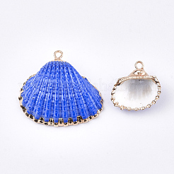 Spray Paint & Electroplate Sea Shell Pendants&nbsp;SSHEL-S262-08B