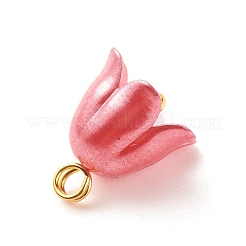 Spray Paint ABS Plastic Imitation Pearl Charms&nbsp;PALLOY-JF01603-03