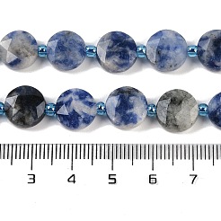 Natural Blue Spot Jasper Beads Strands&nbsp;G-C116-A79-01