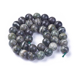 Natural Green Zebra Jasper Beads Strands&nbsp;G-F642-08-B