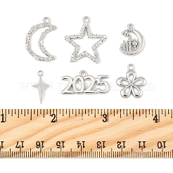 12本6スタイルアロイペンダント  ムーン  スター  花のチャーム  プラチナ  12.5~24.5x9~22x2~5mm  穴：1~2.5mm  2個/スタイル&nbsp;FIND-FS0003-38P