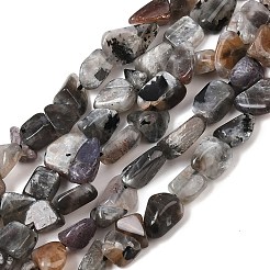 天然石ムーンストーンビーズ連売り  ナゲット  4~10x5~8x4~7.5mm  穴：0.8mm  約55~58個/連  16.14''（41センチメートル）&nbsp;G-A284-A01-03