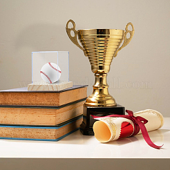 Acrylic Baseball Display Cases with Wooden Base&nbsp;ODIS-WH0081-16