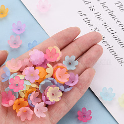 つや消しアクリルビーズキャップ  6花びら  花  ミックスカラー  14x6mm  穴：2mm  約1660個/500g&nbsp;MACR-S371-07A