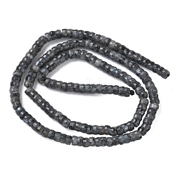 Natural Larvikite Heishi Beads Strands&nbsp;G-A299-A04-01