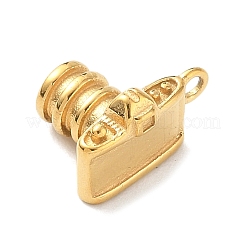 304 Stainless Steel Charms&nbsp;KK-D503-35G
