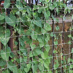Polyester Plant Trellis Netting for Garden&nbsp;AJEW-WH0609-869