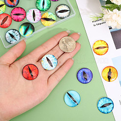 40Pcs 20 Colors Luminous Self Adhesive Glass Eyes Cabochons&nbsp;DIY-CA0006-28